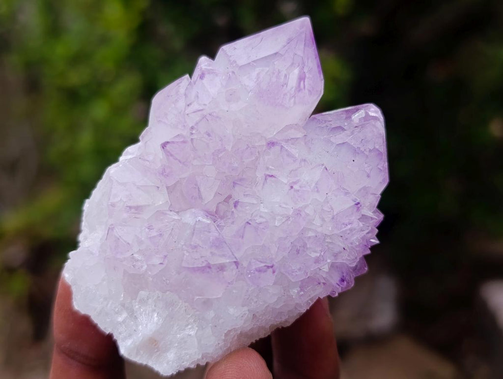 Natural Spirit Amethyst Clusters x 12 From Boekenhouthoek, South Africa