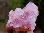 Natural Spirit Amethyst Clusters x 12 From Boekenhouthoek, South Africa