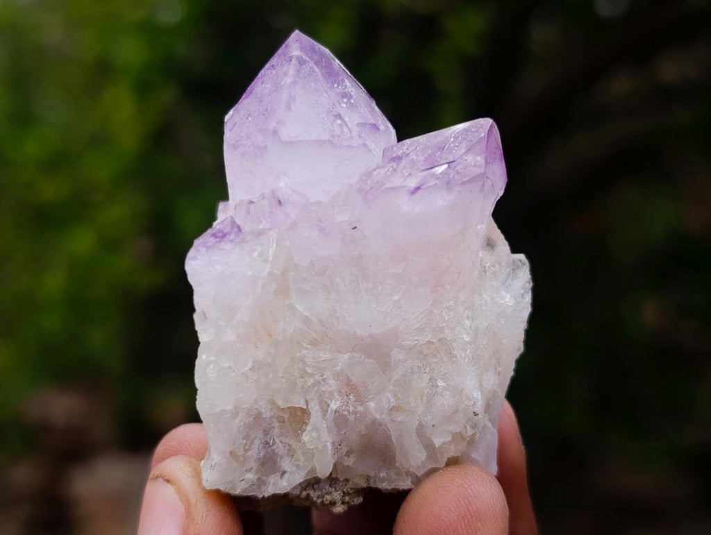 Natural Spirit Amethyst Clusters x 12 From Boekenhouthoek, South Africa