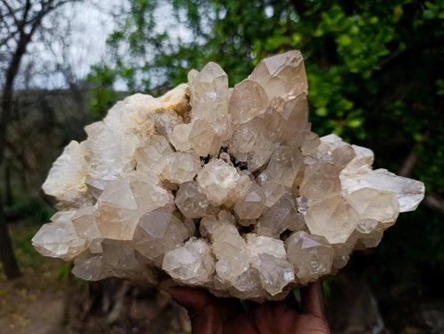 Natural Large Cascading Pale Smokey Luena Citrine Quartz Cluster x 1 From Luena, Congo