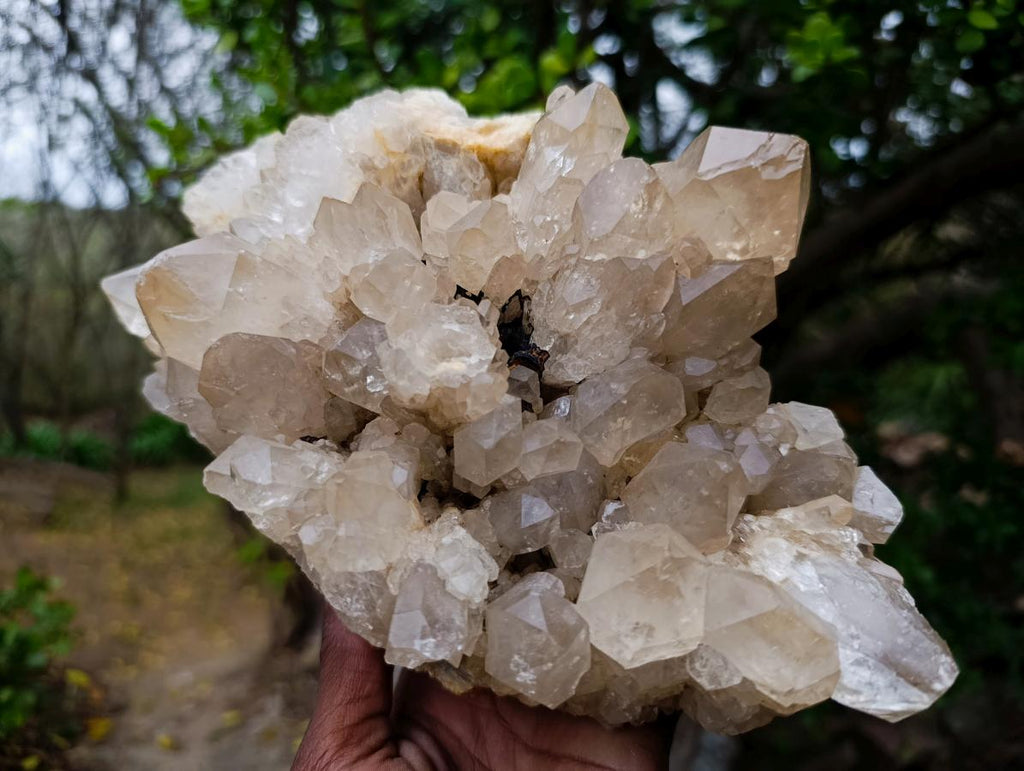 Natural Large Cascading Pale Smokey Luena Citrine Quartz Cluster x 1 From Luena, Congo