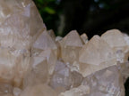 Natural Large Cascading Pale Smokey Luena Citrine Quartz Cluster x 1 From Luena, Congo