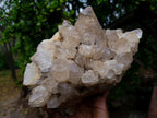 Natural Large Cascading Pale Smokey Luena Citrine Quartz Cluster x 1 From Luena, Congo