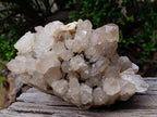 Natural Large Cascading Pale Smokey Luena Citrine Quartz Cluster x 1 From Luena, Congo