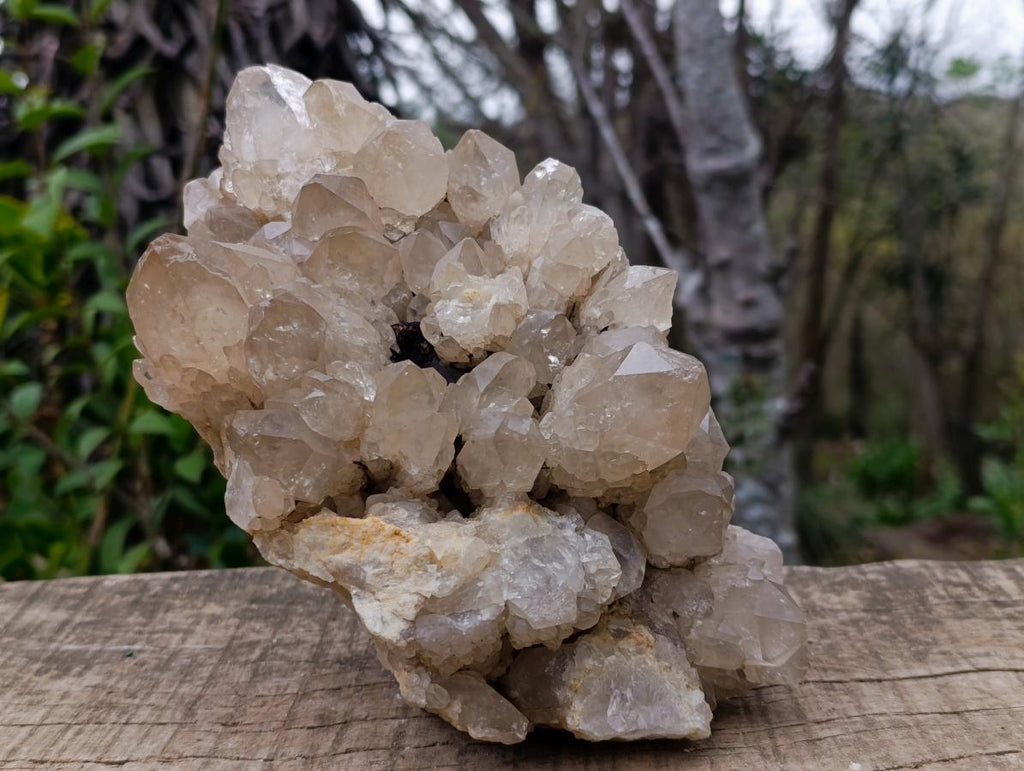 Natural Large Cascading Pale Smokey Luena Citrine Quartz Cluster x 1 From Luena, Congo