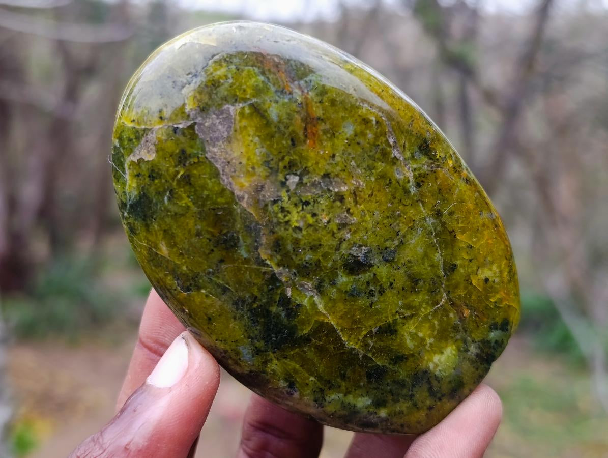 Polished Green Opal Standing Display Pieces x 6 From Betroka, Madagascar