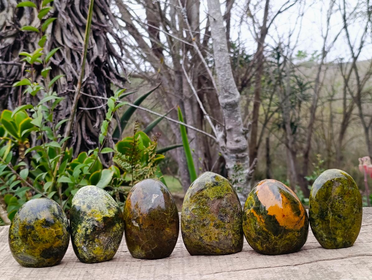 Polished Green Opal Standing Display Pieces x 6 From Betroka, Madagascar