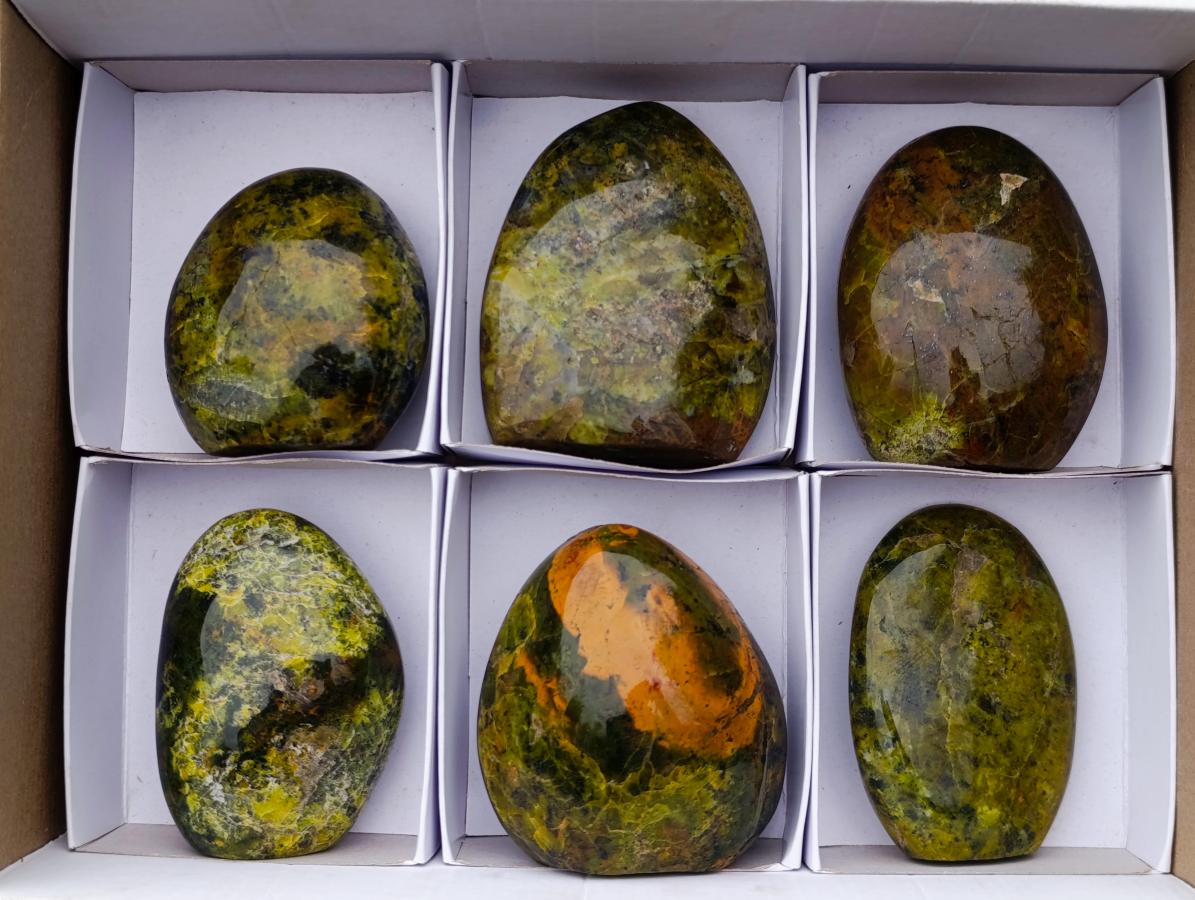 Polished Green Opal Standing Display Pieces x 6 From Betroka, Madagascar