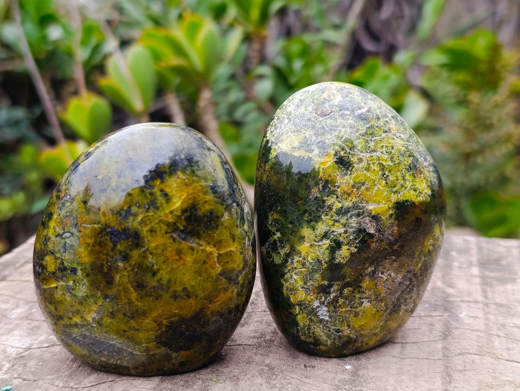 Polished Green Opal Standing Display Pieces x 6 From Betroka, Madagascar