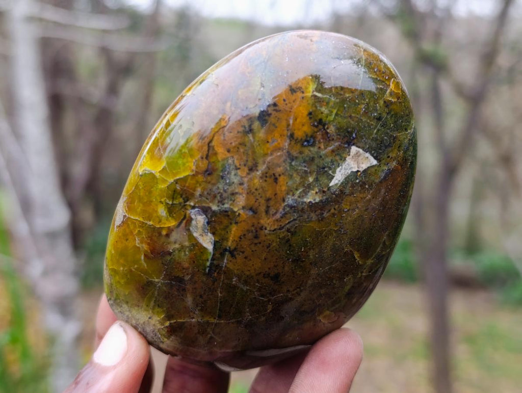 Polished Green Opal Standing Display Pieces x 6 From Betroka, Madagascar