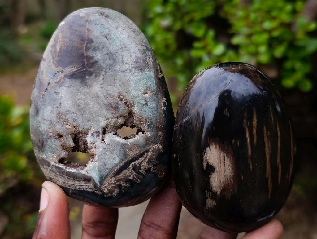 Polished and Natural Dadoxylon Petrified Wood Palm Stones x 6 From Gokwe, Zimbabwe