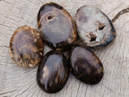 Polished and Natural Dadoxylon Petrified Wood Palm Stones x 6 From Gokwe, Zimbabwe