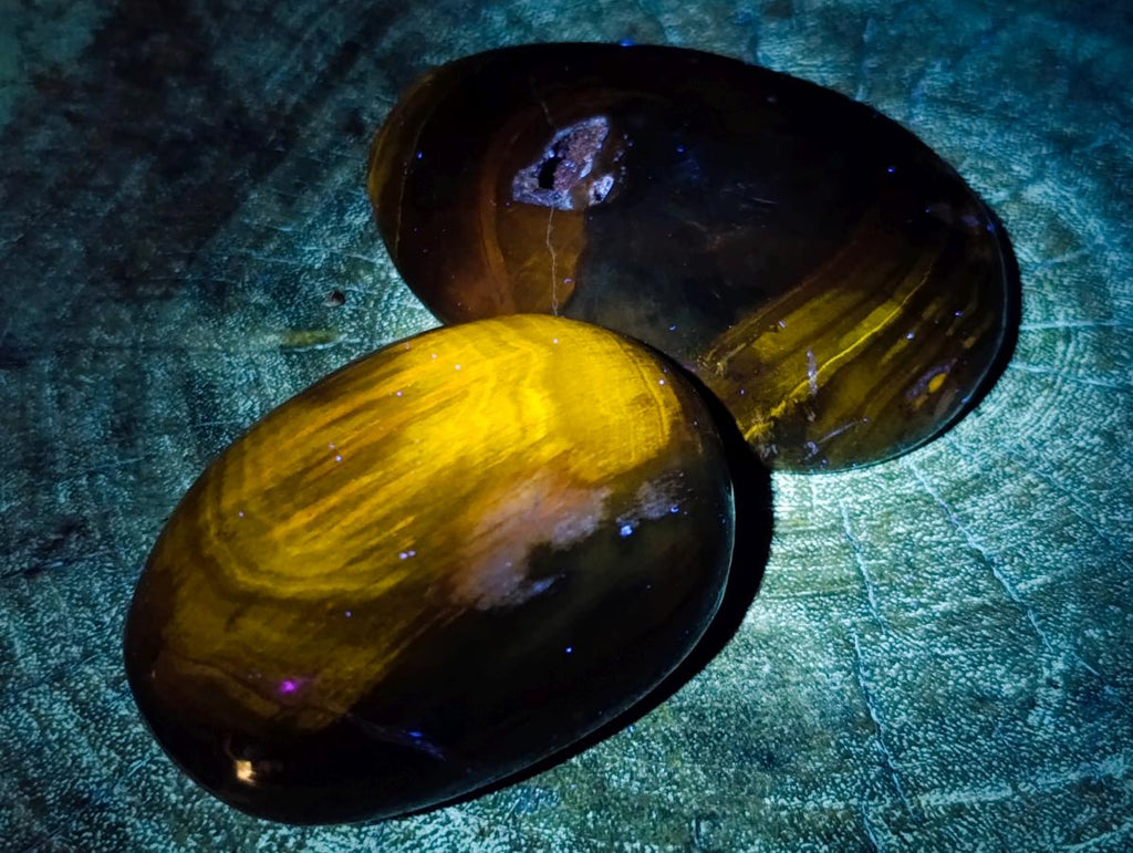 Polished and Natural Dadoxylon Petrified Wood Palm Stones x 6 From Gokwe, Zimbabwe