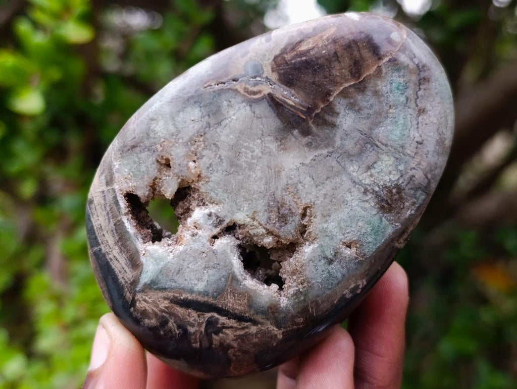 Polished and Natural Dadoxylon Petrified Wood Palm Stones x 6 From Gokwe, Zimbabwe