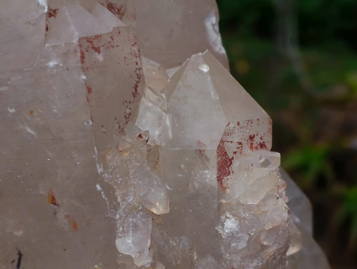 Natural XL Multi-Terminated Smokey Quartz Crystal with Inclusions x 1 From Angola