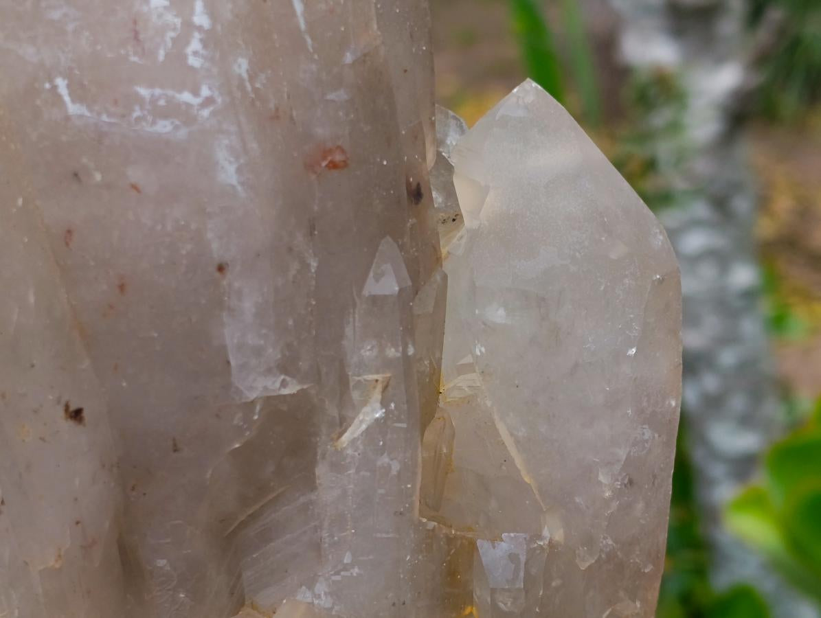 Natural XL Multi-Terminated Smokey Quartz Crystal with Inclusions x 1 From Angola