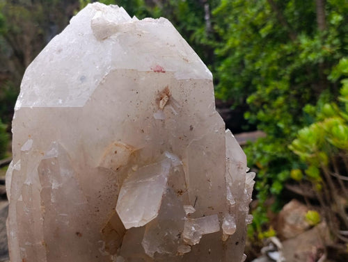 Natural XL Multi-Terminated Smokey Quartz Crystal with Inclusions x 1 From Angola