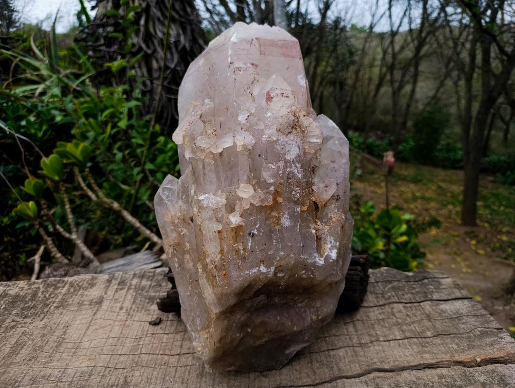 Natural XL Multi-Terminated Smokey Quartz Crystal with Inclusions x 1 From Angola