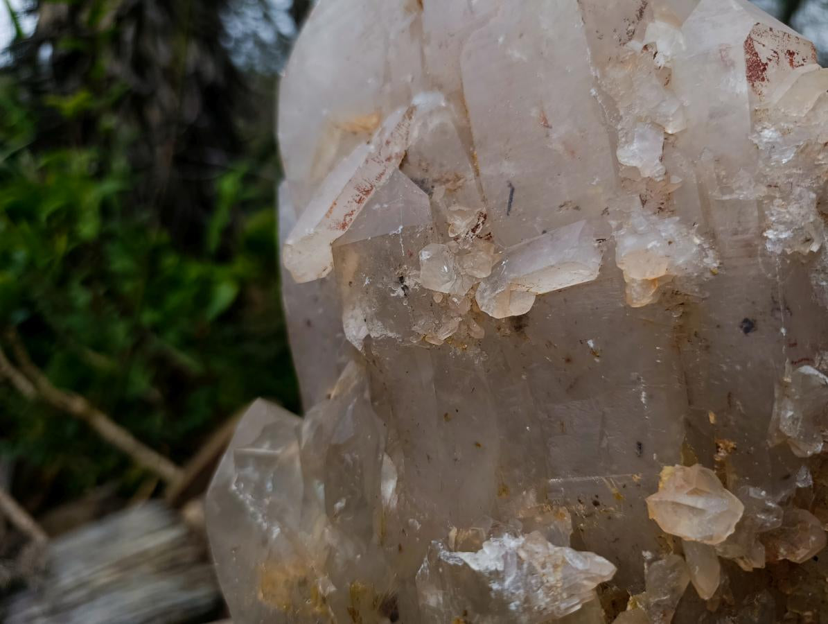 Natural XL Multi-Terminated Smokey Quartz Crystal with Inclusions x 1 From Angola