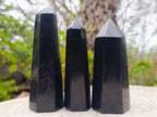 Polished Black Basalt Display Crystals x 12 From Madagascar