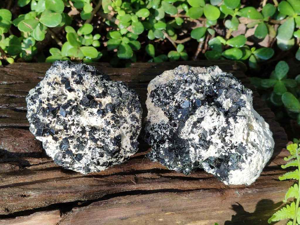 Natural Large Schorl Black Tourmaline Specimens with Feldspar x 2 From Erongo, Namibia