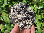 Natural Large Schorl Black Tourmaline Specimens with Feldspar x 2 From Erongo, Namibia