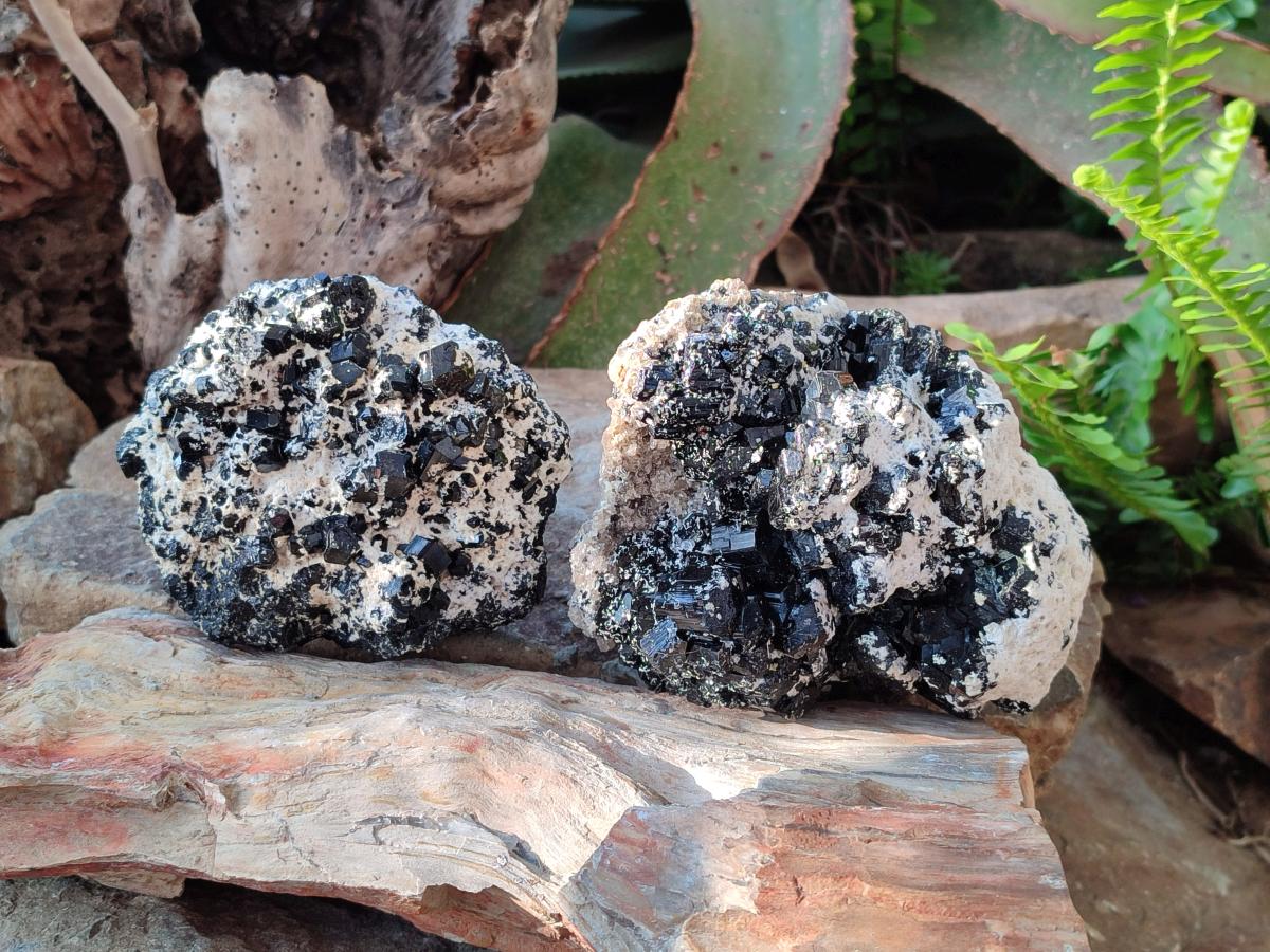 Natural Large Schorl Black Tourmaline Specimens with Feldspar x 2 From Erongo, Namibia