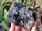 Natural Large Schorl Black Tourmaline Specimens with Feldspar x 2 From Erongo, Namibia