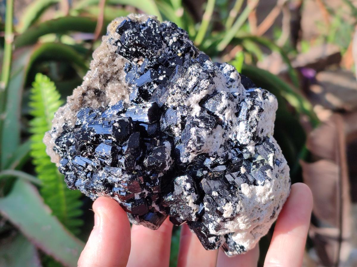 Natural Large Schorl Black Tourmaline Specimens with Feldspar x 2 From Erongo, Namibia