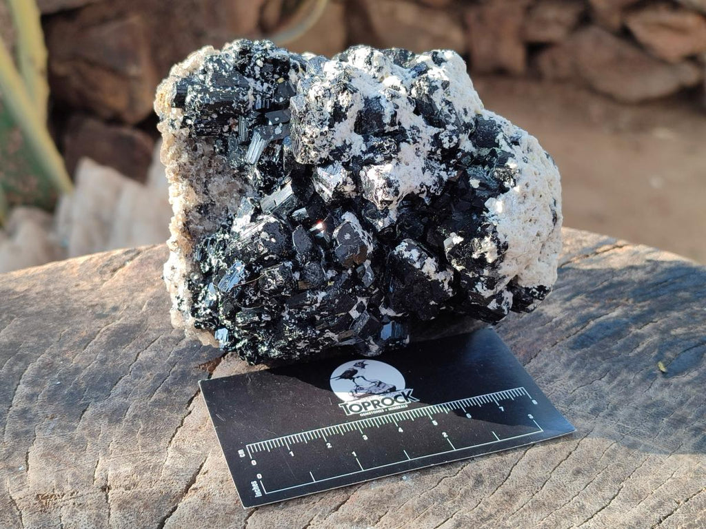 Natural Large Schorl Black Tourmaline Specimens with Feldspar x 2 From Erongo, Namibia