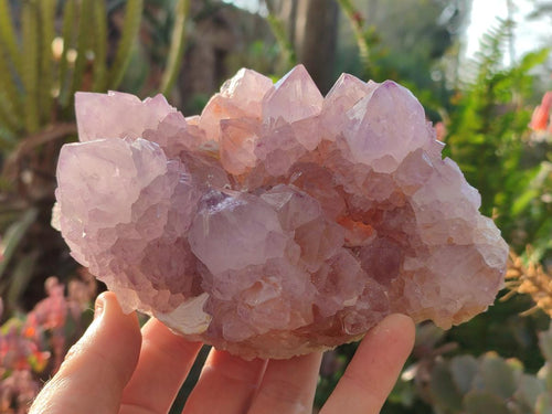 Natural Large Spirit Amethyst Clusters x 2 From Boekenhouthoek, South Africa