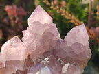 Natural Large Spirit Amethyst Clusters x 2 From Boekenhouthoek, South Africa