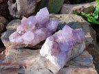Natural Large Spirit Amethyst Clusters x 2 From Boekenhouthoek, South Africa