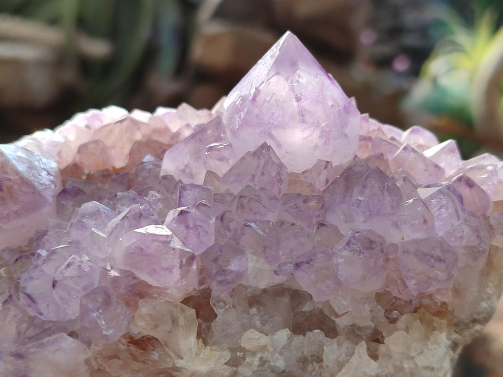 Natural Large Spirit Amethyst Clusters x 2 From Boekenhouthoek, South Africa