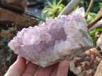 Natural Large Spirit Amethyst Clusters x 2 From Boekenhouthoek, South Africa