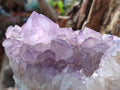Natural Large Spirit Amethyst Clusters x 2 From Boekenhouthoek, South Africa