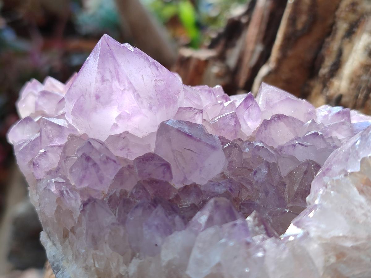 Natural Large Spirit Amethyst Clusters x 2 From Boekenhouthoek, South Africa