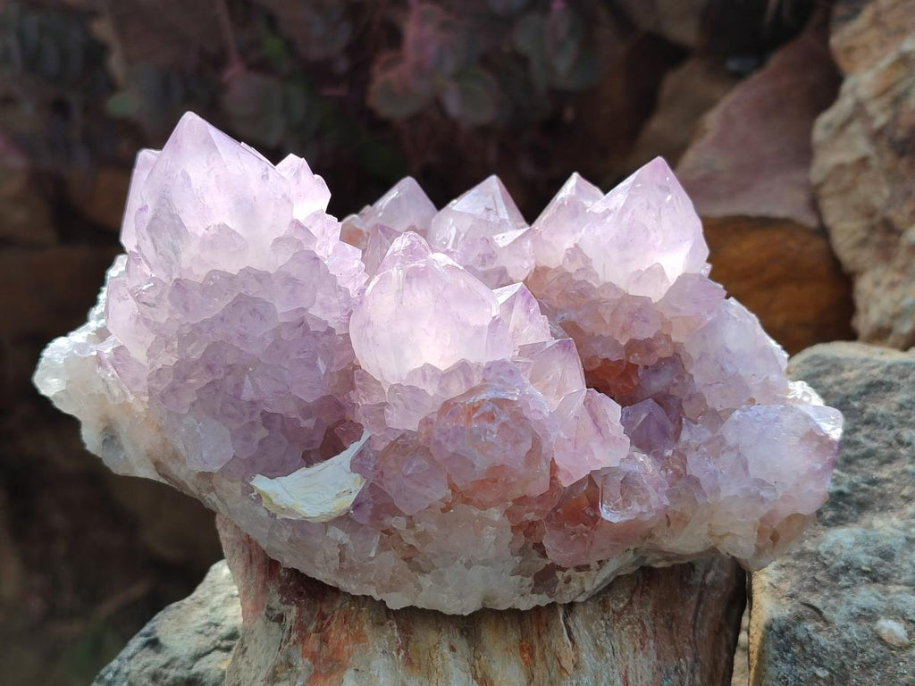 Natural Large Spirit Amethyst Clusters x 2 From Boekenhouthoek, South Africa