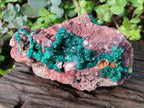 Natural Large Cabinet Size Dioptase on Dolomite Specimen x 1 From Mashamba East Mine, Congo