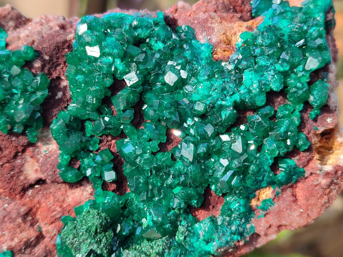 Natural Large Cabinet Size Dioptase on Dolomite Specimen x 1 From Mashamba East Mine, Congo