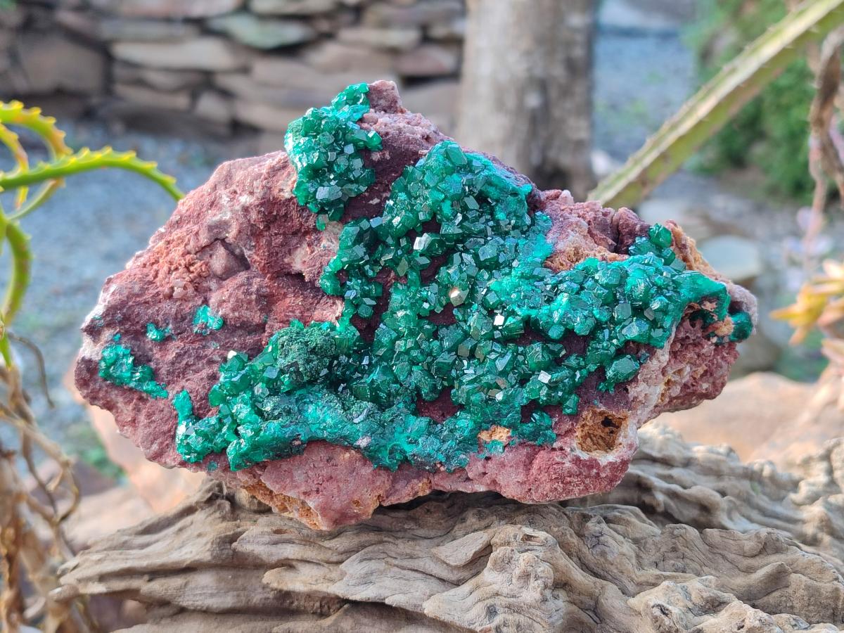 Natural Large Cabinet Size Dioptase on Dolomite Specimen x 1 From Mashamba East Mine, Congo