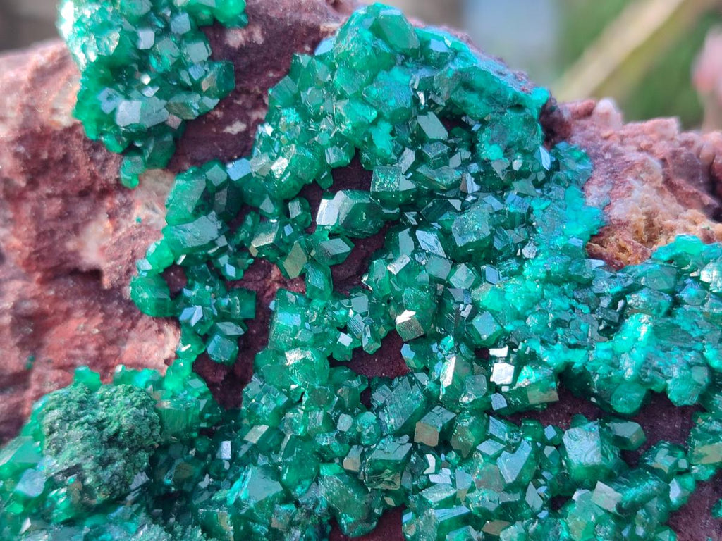 Natural Large Cabinet Size Dioptase on Dolomite Specimen x 1 From Mashamba East Mine, Congo