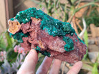 Natural Large Cabinet Size Dioptase on Dolomite Specimen x 1 From Mashamba East Mine, Congo