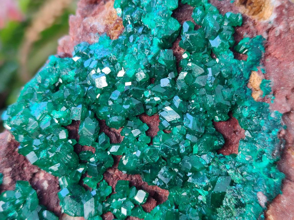 Natural Large Cabinet Size Dioptase on Dolomite Specimen x 1 From Mashamba East Mine, Congo