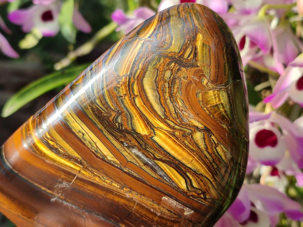 Polished Golden Tigers Eye Standing Display Pieces x 2 From Prieska, South Africa