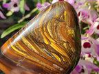 Polished Golden Tigers Eye Standing Display Pieces x 2 From Prieska, South Africa