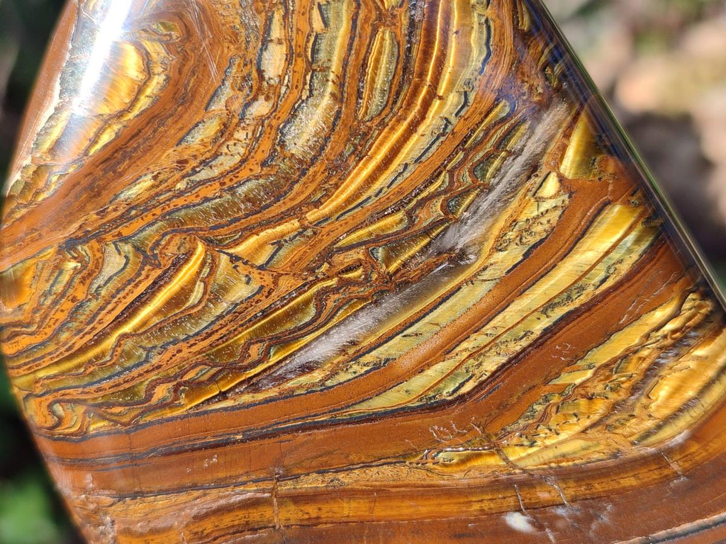 Polished Golden Tigers Eye Standing Display Pieces x 2 From Prieska, South Africa