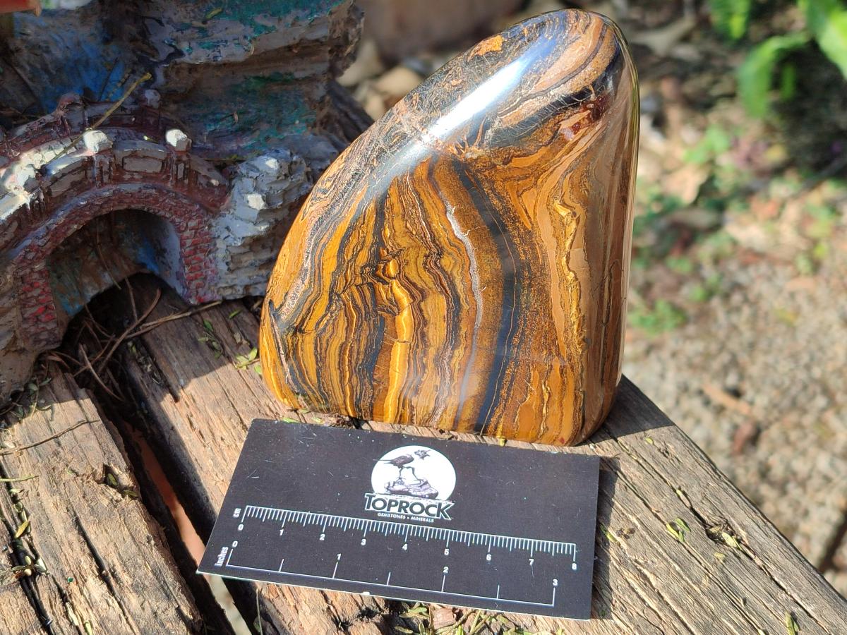Polished Golden Tigers Eye Standing Display Pieces x 2 From Prieska, South Africa