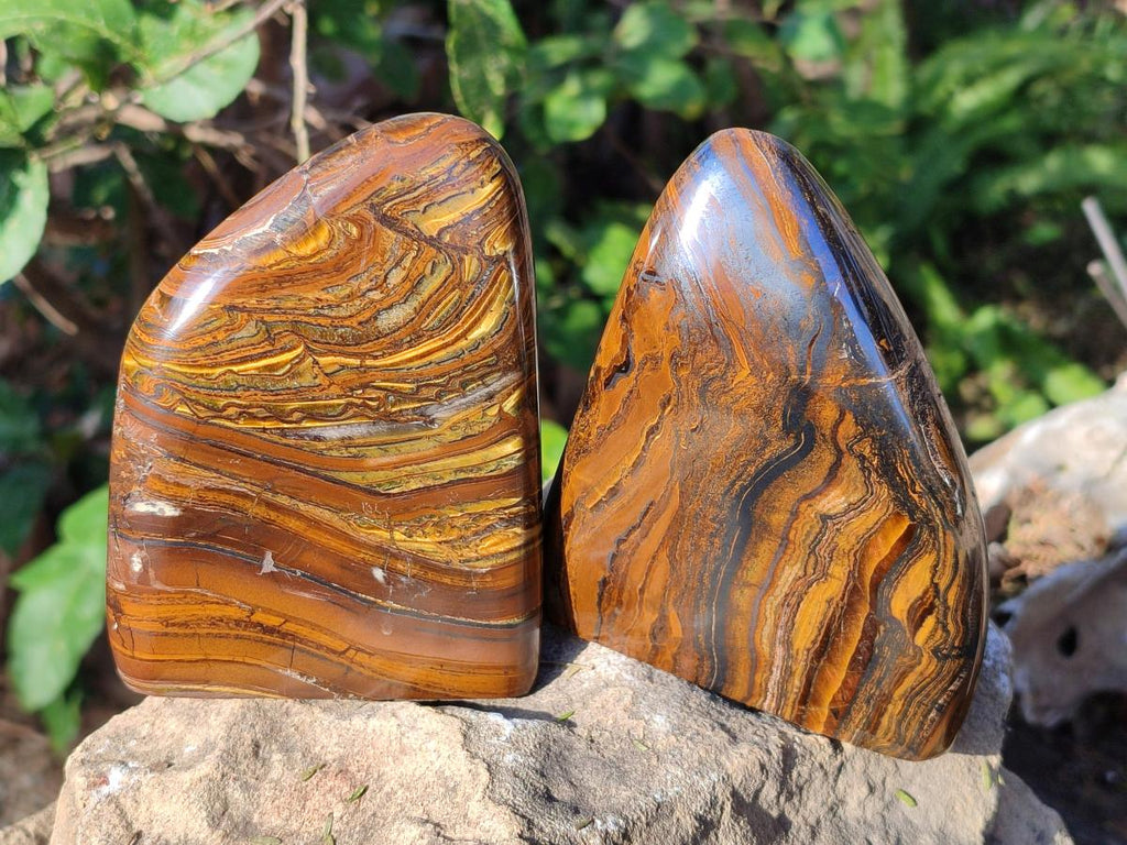 Polished Golden Tigers Eye Standing Display Pieces x 2 From Prieska, South Africa
