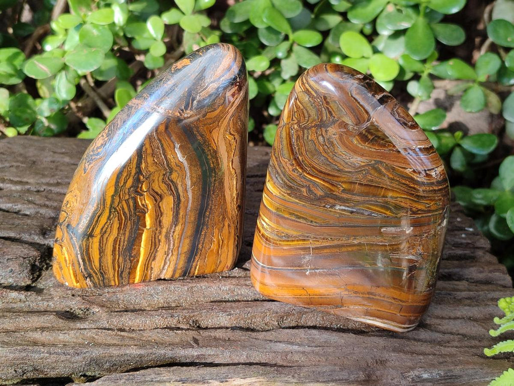 Polished Golden Tigers Eye Standing Display Pieces x 2 From Prieska, South Africa